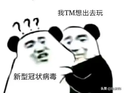 表情包黑get