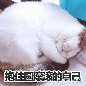  减肥药真的有用嘛
