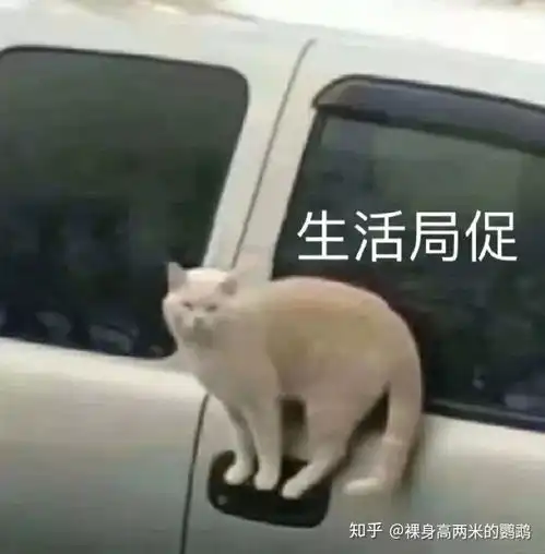  新型肺炎会影响今年的高考吗