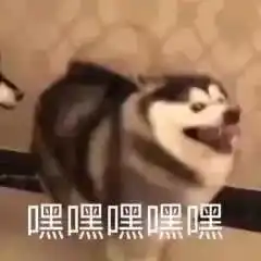  insec透露双劫大战真相,岳伦竟是死于装b