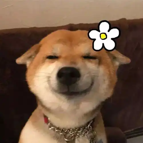  沙雕头像向你奔跑而来