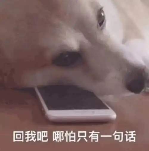  给我一点舔狗文案吧最近肚子里面都没有墨水了求求了