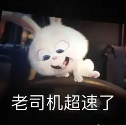  谁知道这个兔子叫什么,求表情包