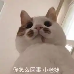  邓伦和杨幂的暧昧瓜,除了笨蛋还被我们扒出来超多暗戳的细节