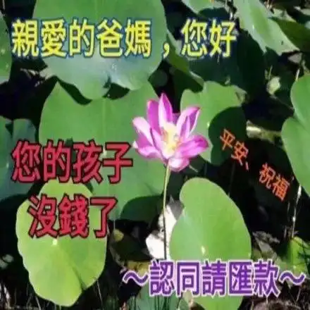  当你想问爸妈要零花钱的时候,那就给他们发这个