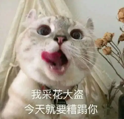  原神切换b服和官服的工具