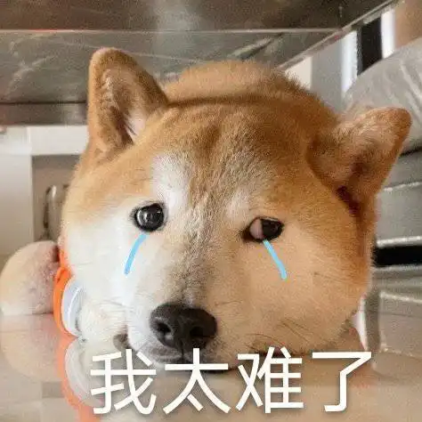  沙雕表情包l听说你很拽哦