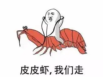  盘点2017十大网络用语,你都用过吗