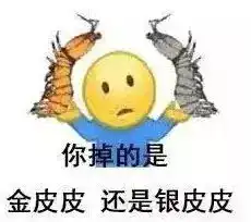  为什么全世界都在骑皮皮虾这到底是个什么梗