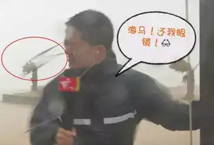  台风汕尾撒野记者直播中眼镜被吹没了