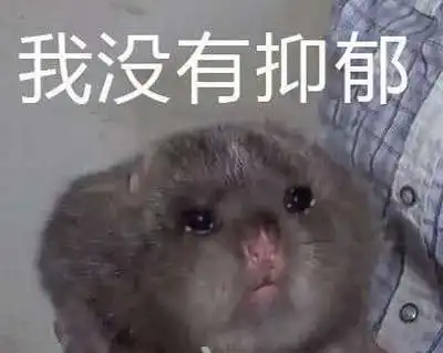  华农兄弟是什么梗什么意思华农兄弟竹鼠中暑出自哪里