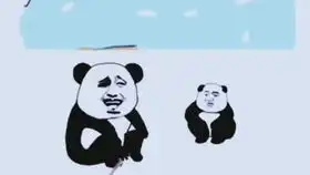  试卷,地窖,姥姥