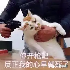  今天起,霸王级寒潮即将攻占成都一首凉凉送给在座各位