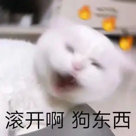  表情包猫咪骂骂咧咧系列
