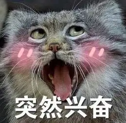  hshs高清表情包hshs微信qq表情包分享超能街机
