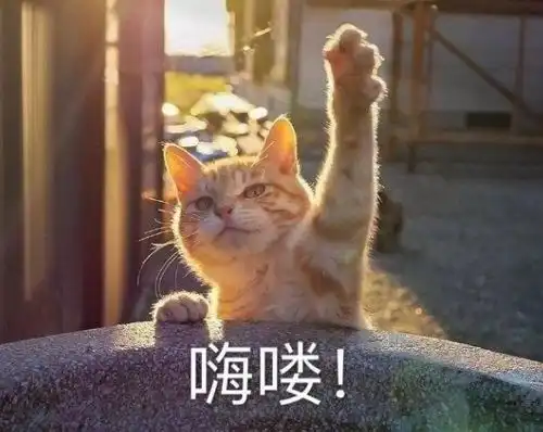  python开发环境spyder介绍