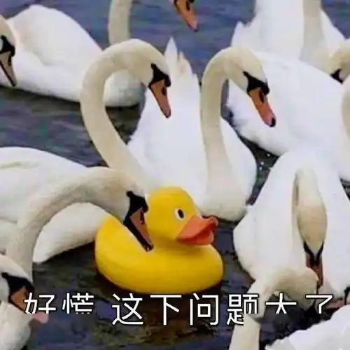  表情包1573期