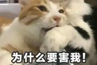  济南小太阳幼儿园安全研学活动