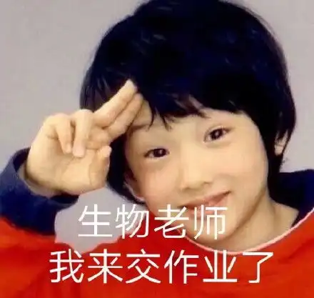 表情包保存在电脑表情