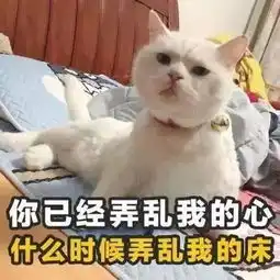  你们要的撩妹表情包来了我,混世大魔王,申请做你的小熊软糖