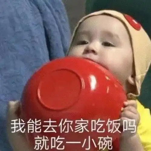  有哪些沙雕可爱的文案