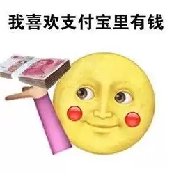  我不是一般的女生表情包带字我喜欢兜里卡里支付宝里有钱