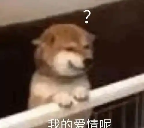 优秀的美女找不到男朋友,是一种福报
