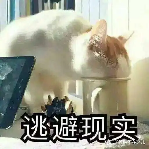  女朋友姨妈期间怎么相处
