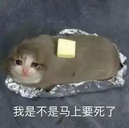  在游戏里看小说花与剑原来我只是你们用来看剧情的工具
