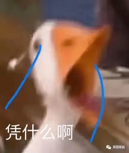  大瓜卡戴珊约会好莱坞最迷人鲜肉后,侃爷崩溃破防她是我老婆