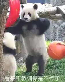  没有几张滚滚表情包,你好意思说想去偷只猫来养它一辈子