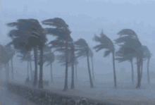  南海热带低压明天生成可能穿过海南岛陆地未来三天暴雨大暴雨