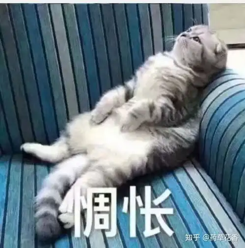  有一场青涩的暗恋是什么感觉